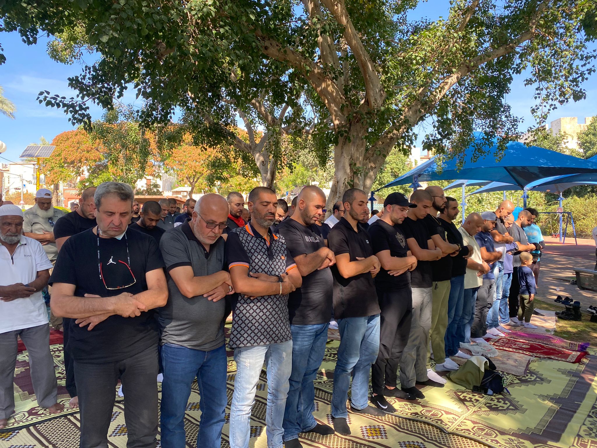 WhatsApp Image 2021-11-12 at 12.06.21 PM (2).jpeg